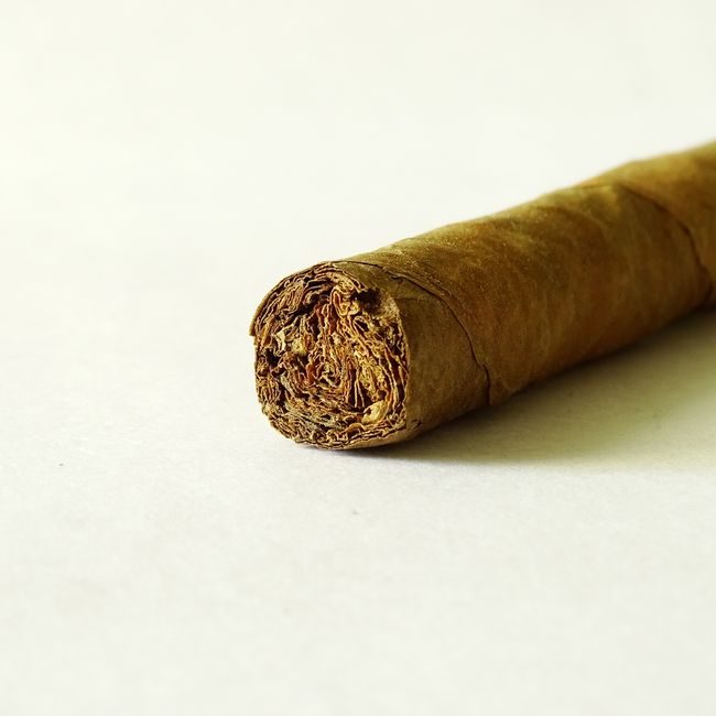 Close-up of a rolled tobacco cigar on a white background, emphasizing texture and detail. — Siva Madurai, Pexels